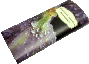 Шоколад на кэробе без сахара "Инжирный" "Vegan Food" / 50 г