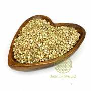 Гречка зелёная непропаренная (Алтайский край) / 25 кг **