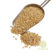 Пшеница твёрдых сортов "Алтайкрупа" / 5 кг