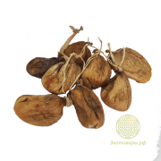 Инжир белый сушёный отборный (Турция) / 4,75 кг **