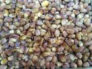 Финики сушеные сорт Захеди (Иран) / коробка 10 кг **