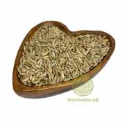 Рожь для проращивания БИО "Шугуровская" / 1 кг