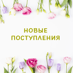 Новинки (29)